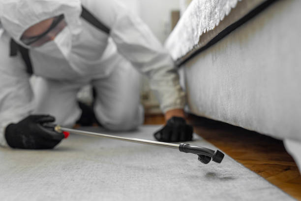 Professional Bed Bug Control technician working in Plain City, OH
